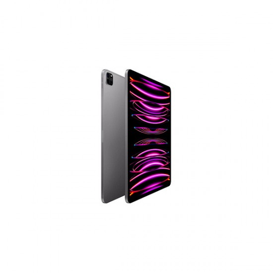 APPLE IPAD PRO 12.9" 256GB WIFI SPACE GRAY 2022 (6TH GENERATION) MNXR3FD/A APPLE IPAD PRO 12.9" 256GB WIFI SPACE GRAY 2022 (6TH GENERATION) MNXR3FD/A