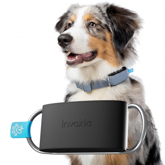 INVOXIA MINI TAILZ HEART MONITOR LWT6 (WITH 1 YEAR SUBSCRIPTION) INVOXIA MINI TAILZ HEART MONITOR LWT6 (WITH 1 YEAR SUBSCRIPTION)