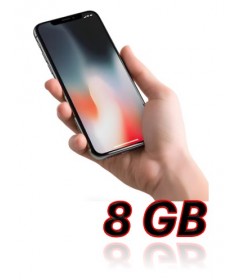 8 GB