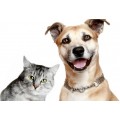 PETS