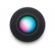 APPLE HOMEPOD MINI SMART SPEAKER SPACE GREY MY5G2Y/A APPLE HOMEPOD MINI SMART SPEAKER SPACE GREY MY5G2Y/A
