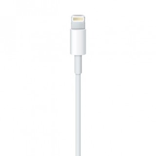0.5 m Apple Lightning to USB Cable 