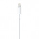 APPLE LIGHTNING TO USB CABLE 0.5M ME291ZM/A