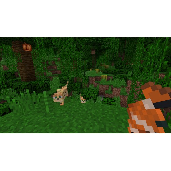 NINTENDO SWITCH GAME MINECRAFT EAP
