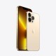 APPLE IPHONE 13 PRO MAX 256GB GOLD EU APPLE IPHONE 13 PRO MAX 256GB GOLD EU