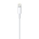APPLE CHARGER 1M CABLE LIGHTNING TO USB MXLY2ZM/A APPLE CHARGER 1M CABLE LIGHTNING TO USB MXLY2ZM/A