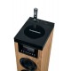 THOMSON SOUND TOWER 60W CD USB SD RADIO AUX MANDO WOOD/BLACK DS122CD