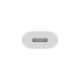 APPLE USB-C TO LIGHTNING ADAPTER MUQX3ZM/A APPLE USB-C TO LIGHTNING ADAPTER MUQX3ZM/A