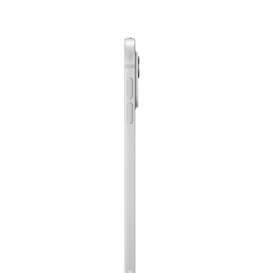 APPLE IPAD PRO M4 MVV93TY/A 256GB WIFI 11" SILVER APPLE IPAD PRO M4 MVV93TY/A 256GB WIFI 11" SILVER