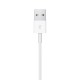 APPLE WATCH MAGNETIC CABLE USB-A 1M MX2E2ZM/A